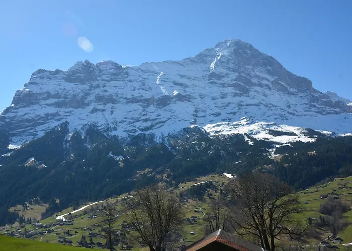 Schneerose - Griwa Rent Ag Appartement *