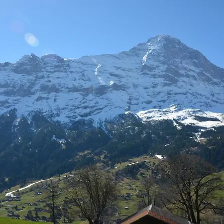 Schneerose - Griwa Rent Ag Appartamento *